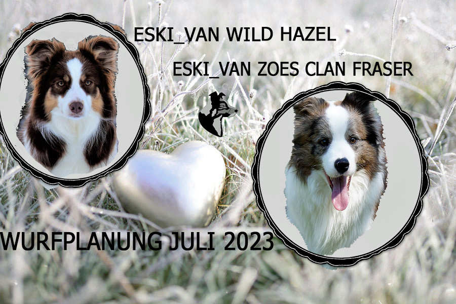 Hazel_Fraser_fertig