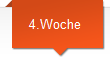 4.Woche