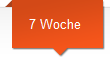 7 Woche