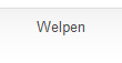 Welpen